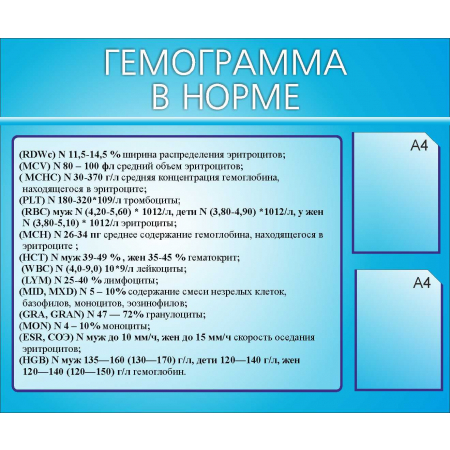 Гемограмма в норме