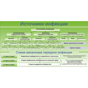 Источники инфекции