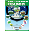 168-уровни организации живой материи 800х1000мм